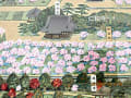 ”しだれ桜”を求めて、「京都」へ！　（全3回）