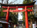 会津美里町　伊佐須美神社の薄墨桜