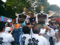 藤澤白旗神社祭礼神輿渡御