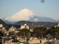 1月3日（土）８時の富士山、湘南平、箱根です