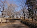 初春の智光山公園