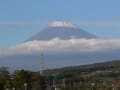 富士山と茶畑