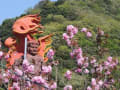 八重桜の寺　Ⅱ