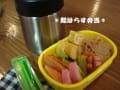 [58]鮭はらす弁当.jpg