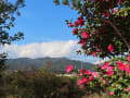 山口の風景