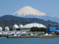 江尻埠頭の富士山と桜