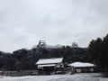 雪の和歌山城