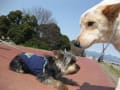 あの頃チャンネル(2009年03月22日～2009年03月28日)