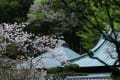 東慶寺４月のポイント