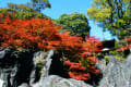 紅葉の石山寺