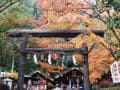 京都嵯峨野　野宮神社と竹林