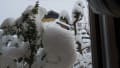 三重県北部の大雪