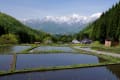 信州白馬村    青鬼地区・野平地区にて