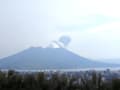 桜島とかわず桜