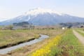 岩木山嶽温泉地区の水芭蕉沼