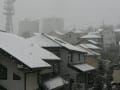 東京の雪景色２０１１