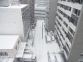 大雪な一日