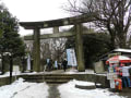 上野・東照宮の冬牡丹