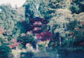 [86]浄瑠璃寺