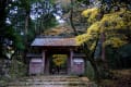 滋賀の紅葉　永源寺と湖東三山　その２　（百済寺）