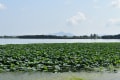 烏丸半島・近江八幡散策2015.8月