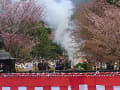 ひと目1000本の吉野山