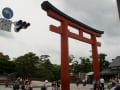 [42]鶴岡八幡宮　鳥居