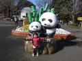 上野動物園でパンダに会って来ました。