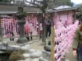 [1] dazaifu6