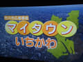 江戸川放水路ハゼ釣り　2017.8.2