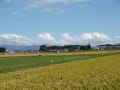 滋賀県竜王町・・・初秋の風景