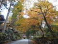 曹洞宗大本山永平寺