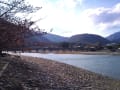 嵐山、天龍寺 2012.04.07