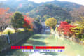 京都紅葉漫歩　06