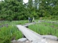 京都府立植物園