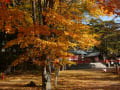 奥日光の山々と紅葉。