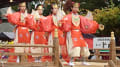 笠間稲荷神社「舞楽祭」2016「舞楽　迦陵頻（ぶがく　かりょうびん）」