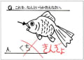 口？金魚？