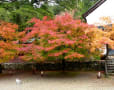 神護寺・天龍寺・東福寺