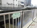 神田川上流を歩く。方南町駅から小滝橋、早稲田ぐらいまで。桜が咲き始めてました。