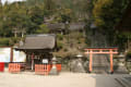 湖北海津大崎の桜と白髭神社