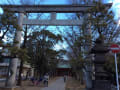 葛飾八幡宮　初詣