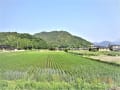 山口の風景