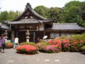 梅雨の晴れ間、サツキ寺や、清水寺など、京都をバスでまわってきました。休日とあって観光地は大勢の人で賑わっていました。