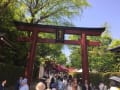 つつじ根津神社