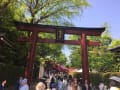 つつじ根津神社