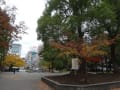 上野恩賜公園・・・紅葉の光景を楽しみました。