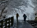 雪の高尾山頂～下り