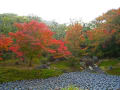 京都嵯峨野　宝厳院