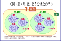 [40]飛鳥時代２